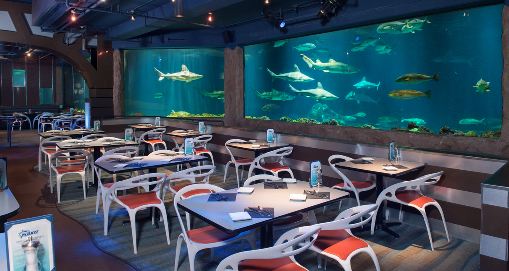 SeaWorld Orlando Participating in Magical Dining Month Touring