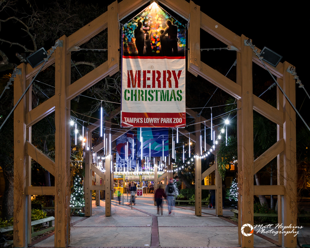 Christmas in the Wild at Tampa's Lowry Park Zoo Touring Central Florida