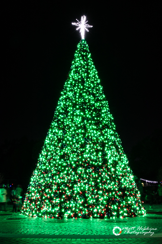 Christmas in the Wild at Tampa's Lowry Park Zoo Touring Central Florida