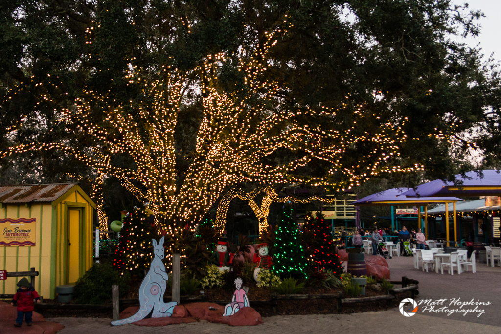 Lowry Park Zoo Christmas in the Wild 2017 005 Touring Central Florida