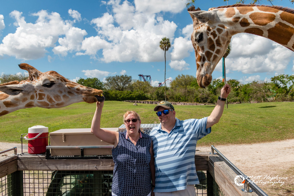 Busch Gardens Tampa Serengeti Safari Tour 2018 029 Touring