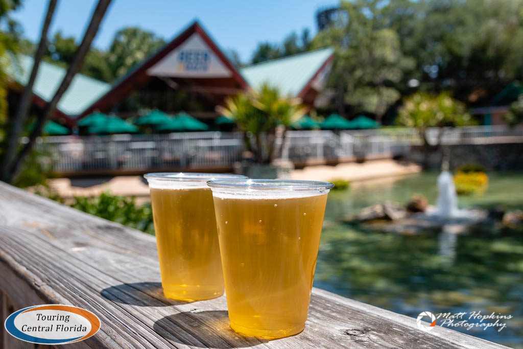 Free Beer Extended at Busch Gardens Tampa Touring Central Florida