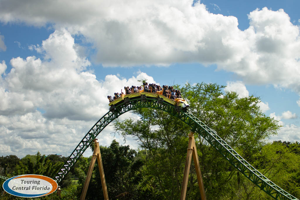 Busch Gardens Tampa Cheetah Hunt 001 Touring Central Florida