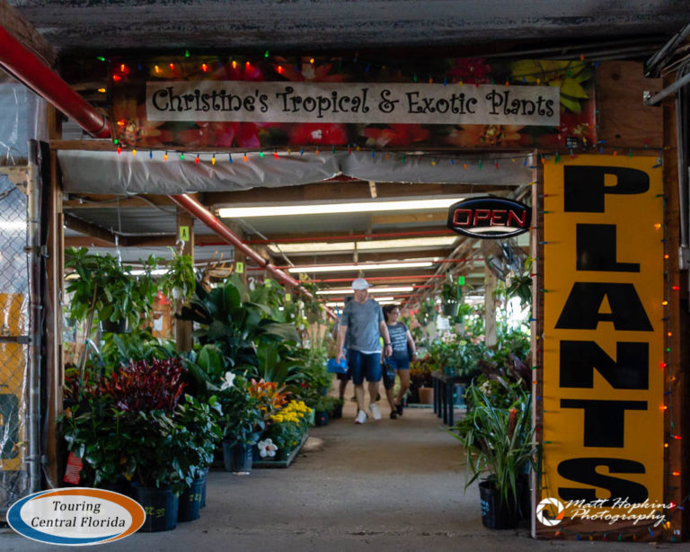 Oldsmar Flea Market 2019 011 Touring Central Florida