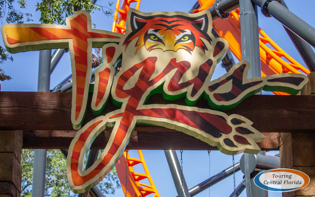 Tigris, tiger themed roller coaster, opens at Busch Gardens