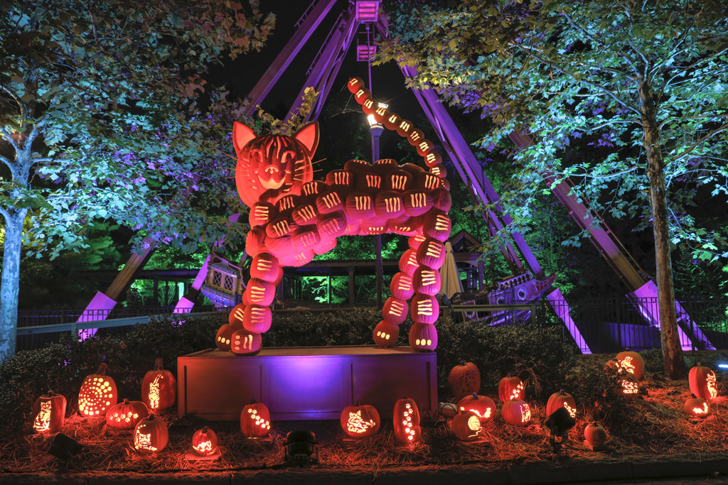 Silver Dollar City Pumkin Nights Touring Central Florida