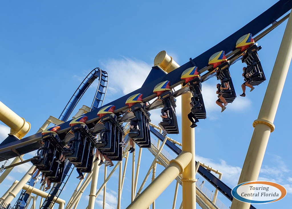 Busch Gardens Tampa News & Notes - March 2021 - Touring Central Florida