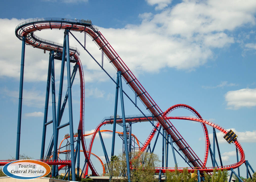 SheiKra - Busch Gardens Tampa (Tampa, Florida, United States)