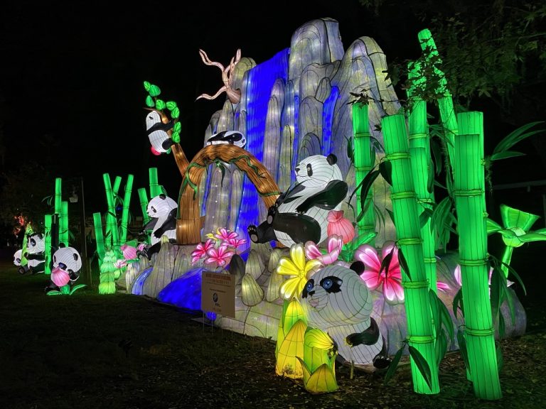 Central Florida Zoo Asian Lantern Festival 2022 002 Touring